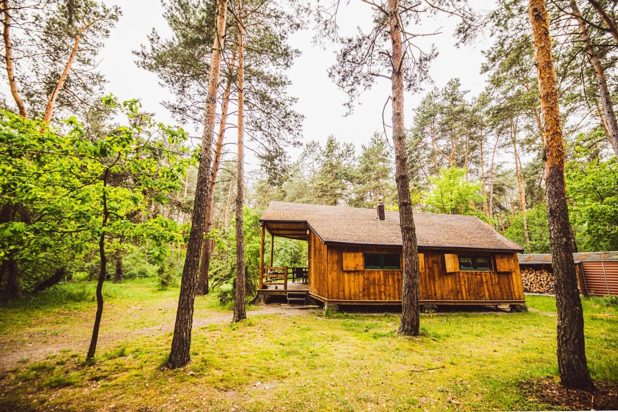 Cozy Nature Retreat With Patio Fireplace Garden Maciejowice Ngoại thất bức ảnh