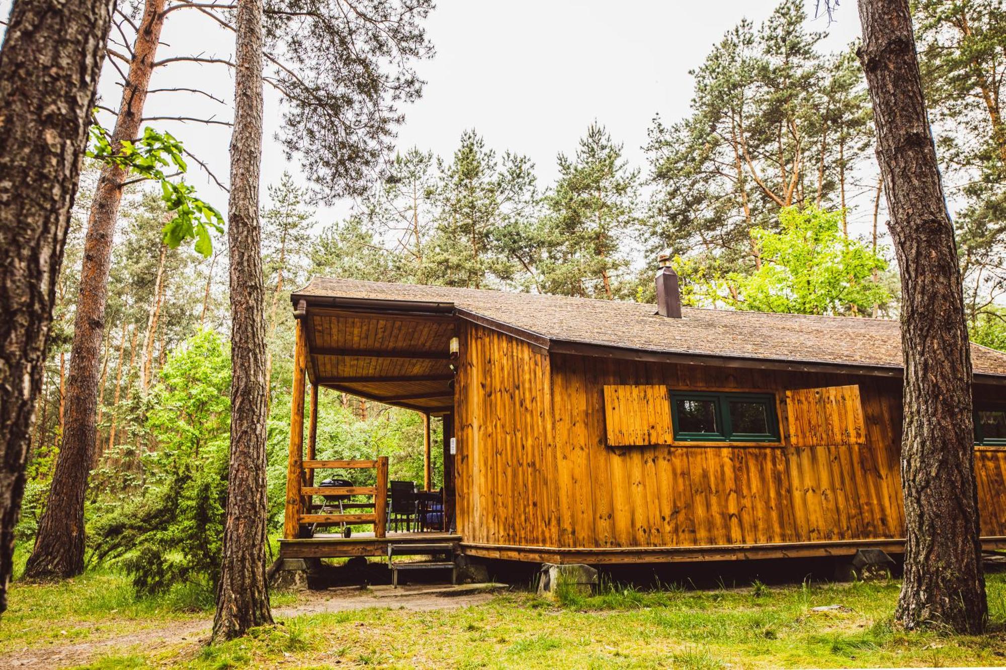 Cozy Nature Retreat With Patio Fireplace Garden Maciejowice Ngoại thất bức ảnh