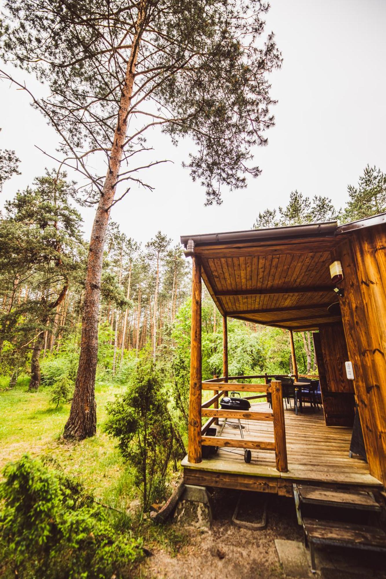 Cozy Nature Retreat With Patio Fireplace Garden Maciejowice Ngoại thất bức ảnh